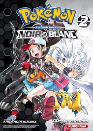 Découvrez Pokémon Noir Blanc Double 2