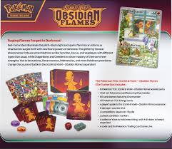 Accessoires Full Art Pokémon TCG Violet Obsidian - Édition Limitée