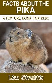 Découvrez le monde fascinant des Pikas avec notre eBook illustré !
