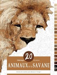 Coloriages Mystères : Livre de Coloriage Numéroté pour Adultes